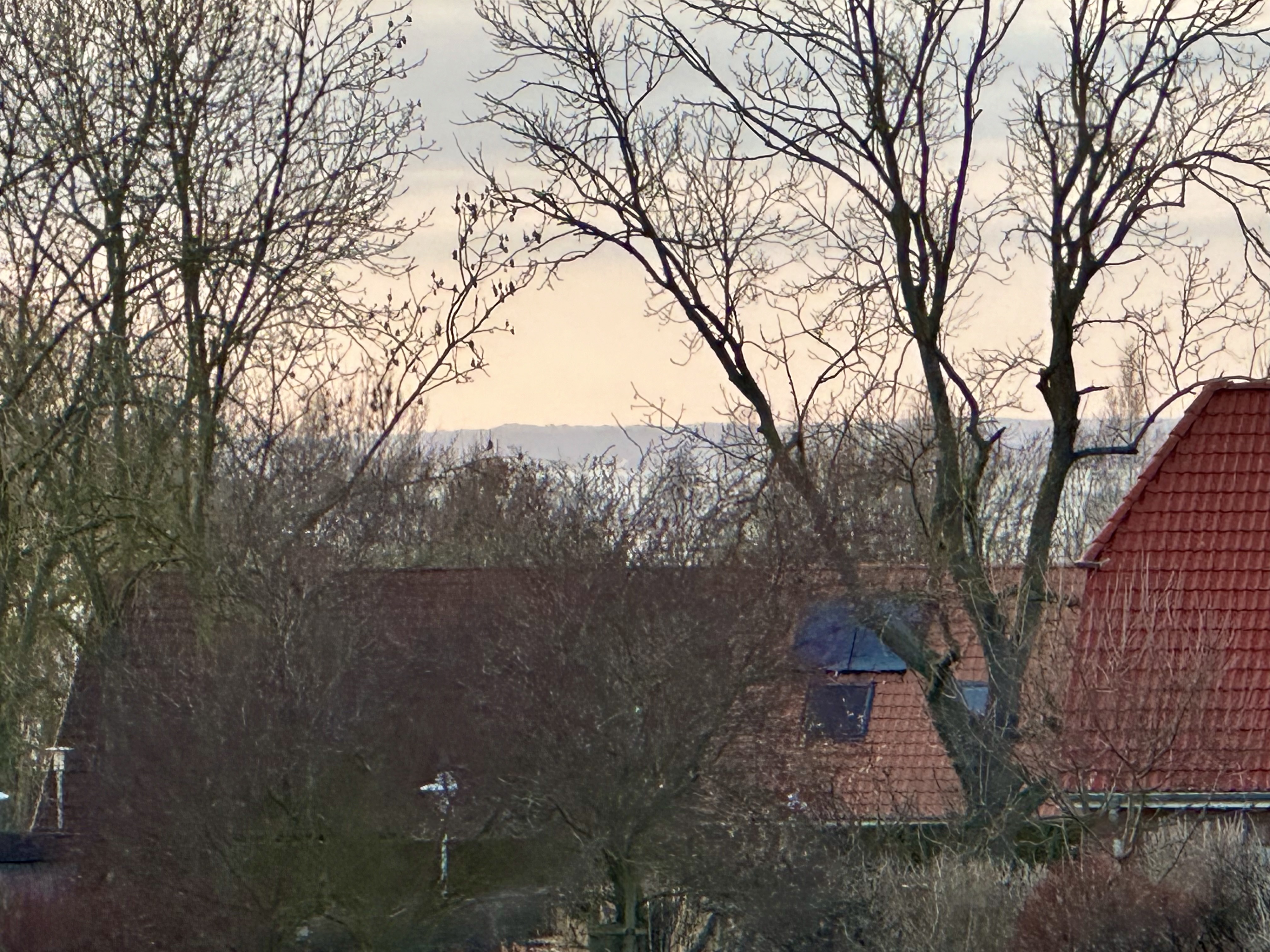 Meerblick (im Winter) a