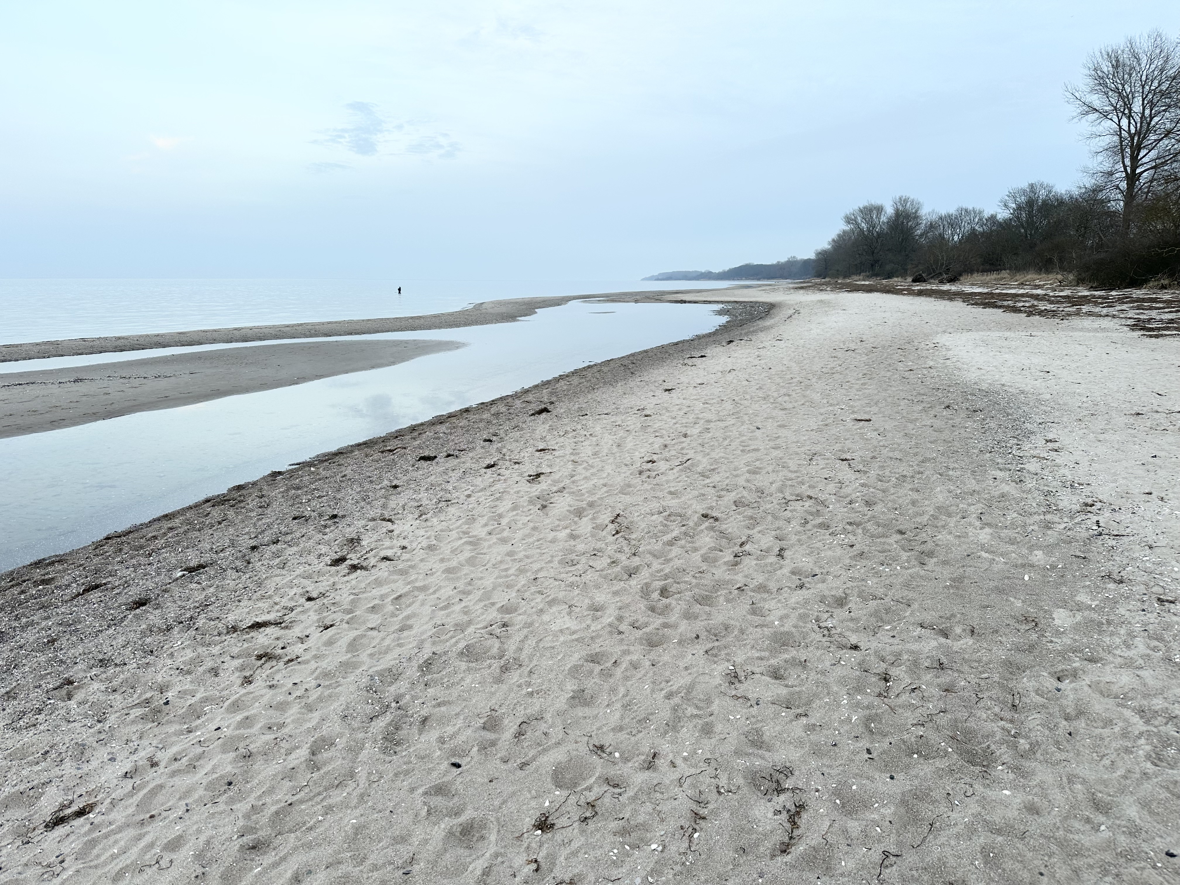 Strand im Winter